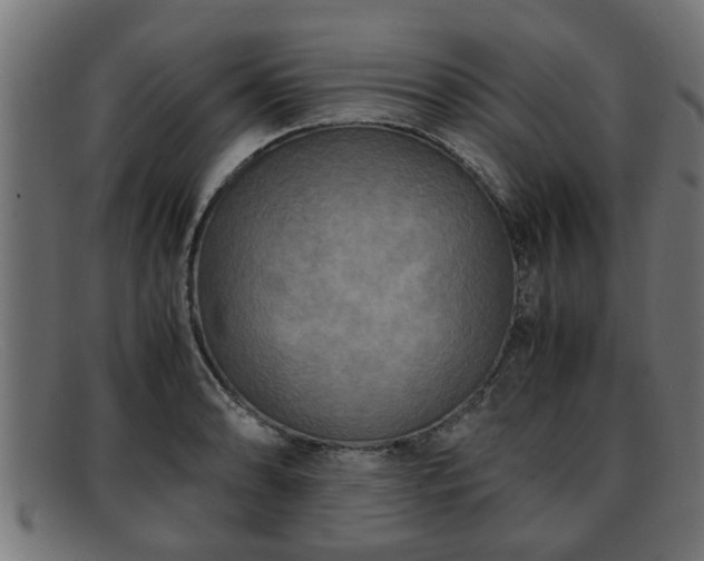 X0000091981086200709131407