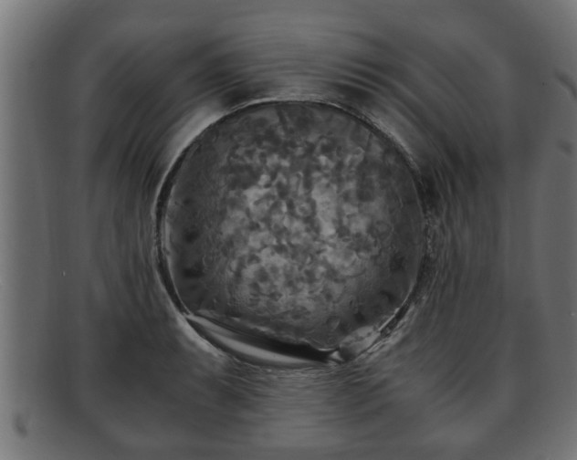 X0000091981087200709131407