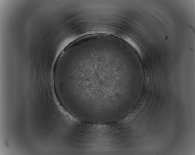 X0000091981088200709131407