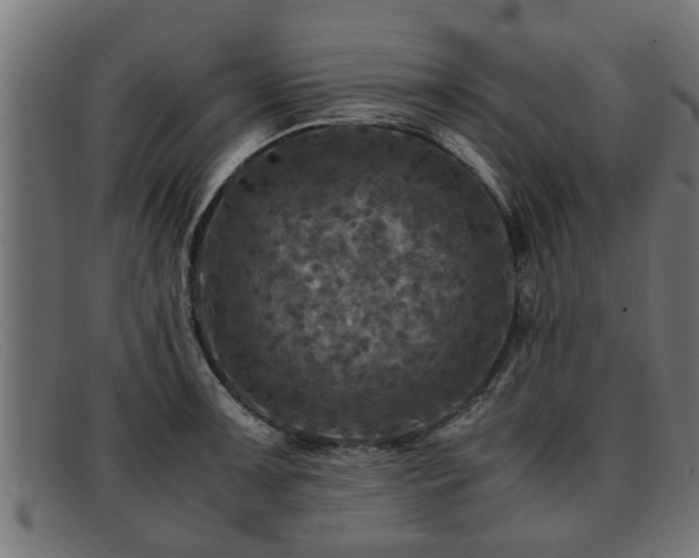 X0000091981091200709131407