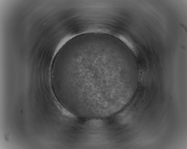 X0000091981094200709131407