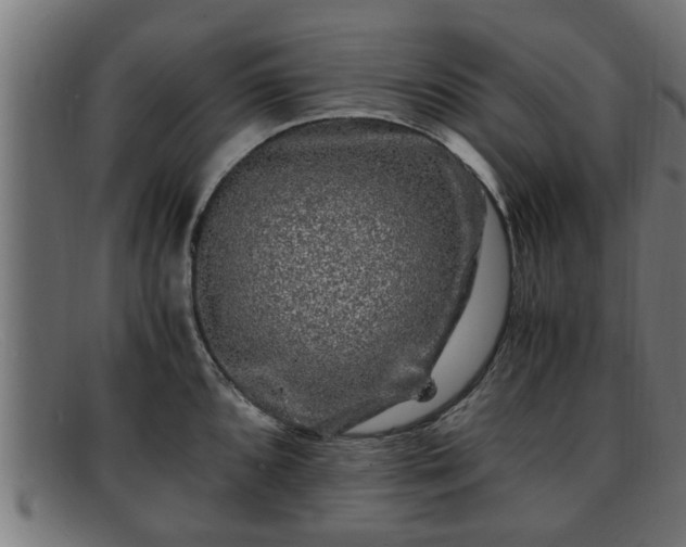 X0000091981096200709131407