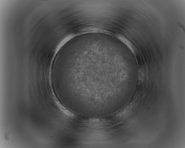 X0000091981098200709131407