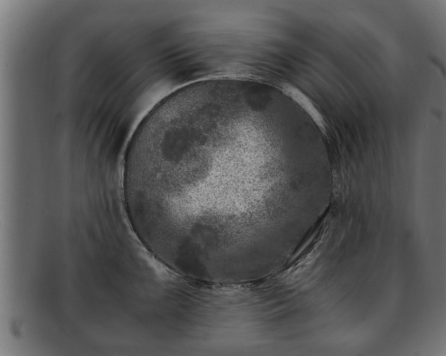 X0000091981099200709131407