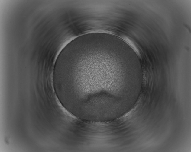 X0000091981100200709131407