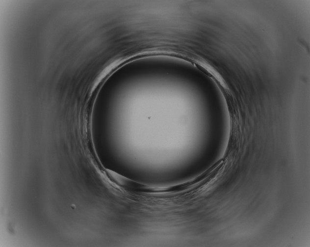 X0000091981101200709131407