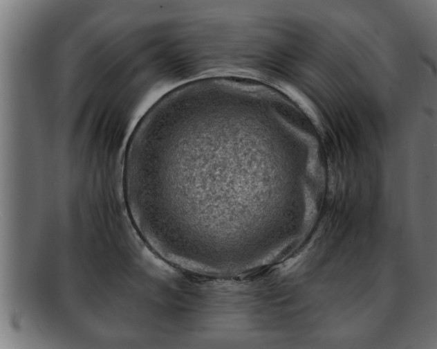 X0000091981102200709131407