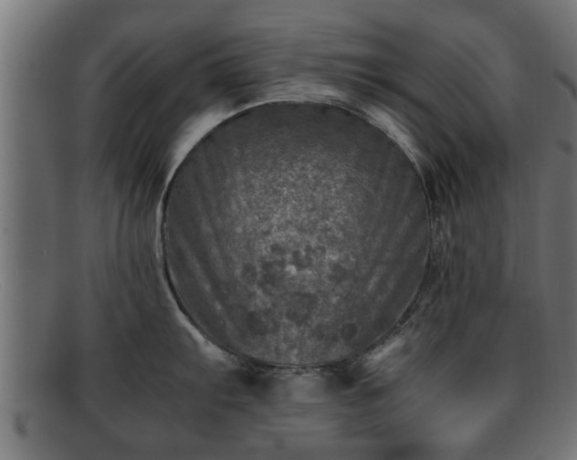 X0000091981103200709131407