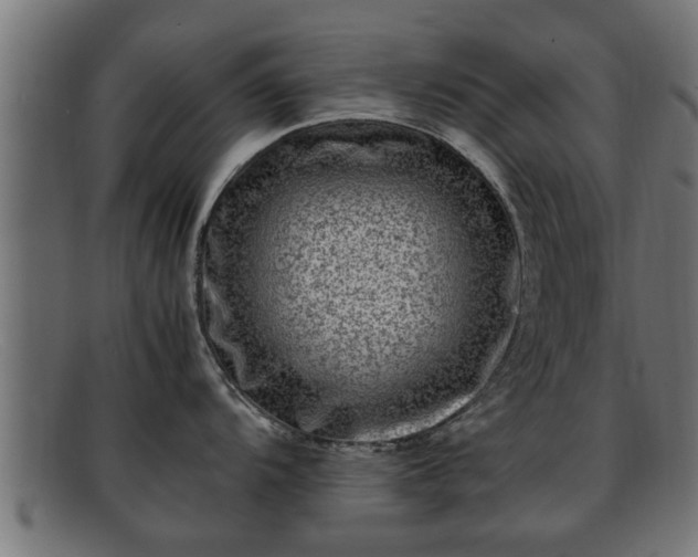 X0000091981104200709131407