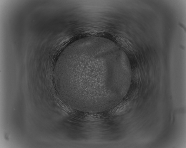 X0000091981105200709131407