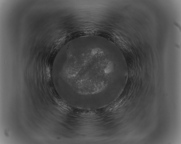 X0000091981106200709131407