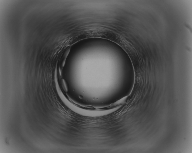 X0000091981108200709131407