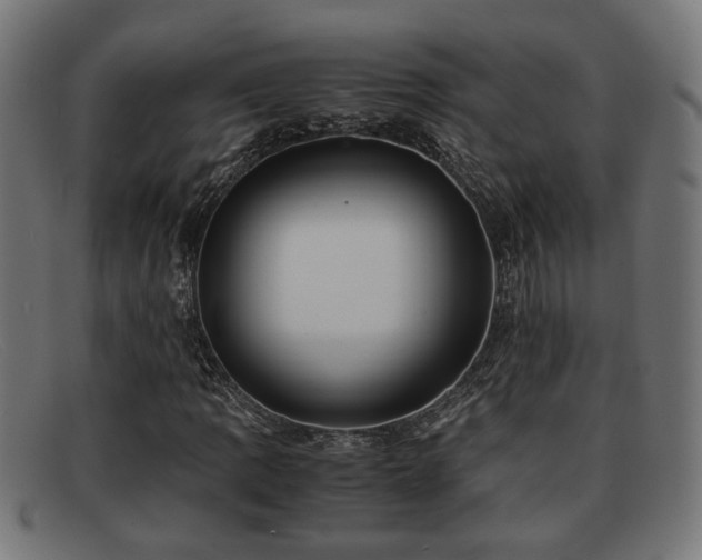 X0000091981109200709131407