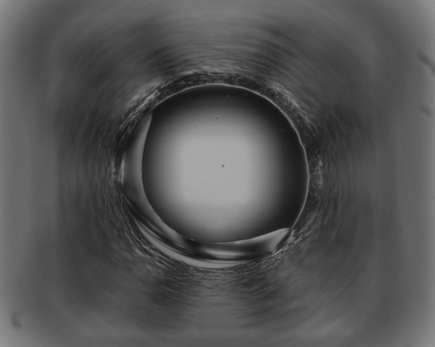 X0000091981110200709131407