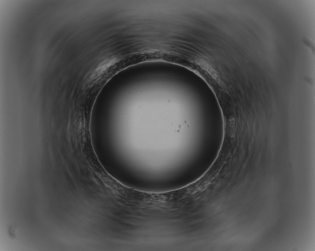 X0000091981111200709131407