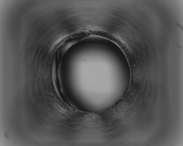 X0000091981112200709131407