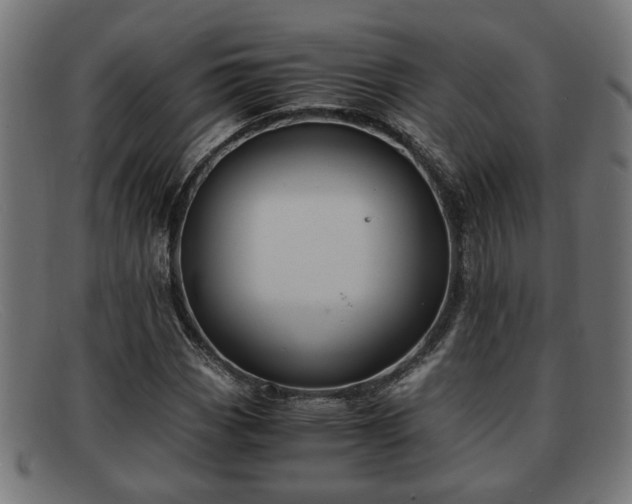 X0000091981113200709131407