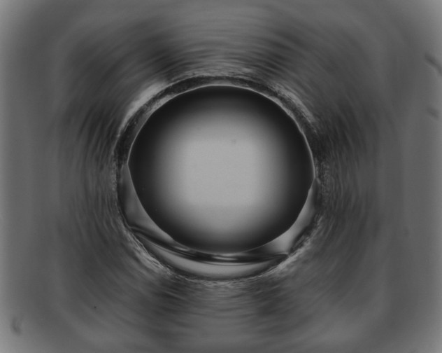 X0000091981114200709131407