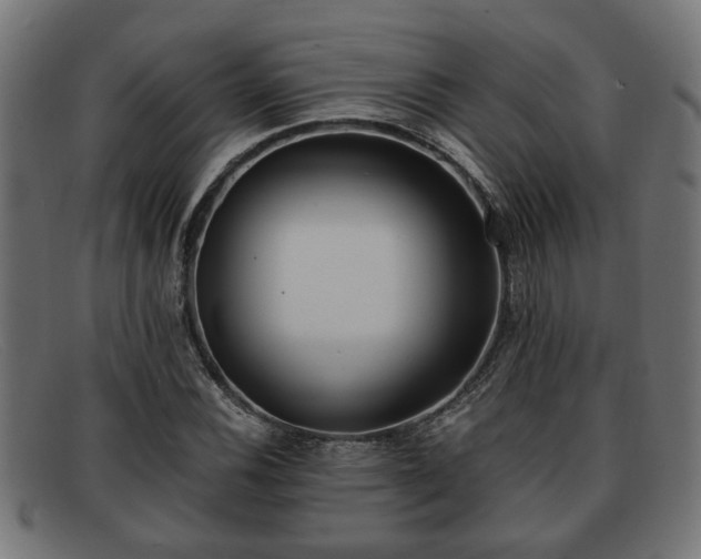 X0000091981116200709131407