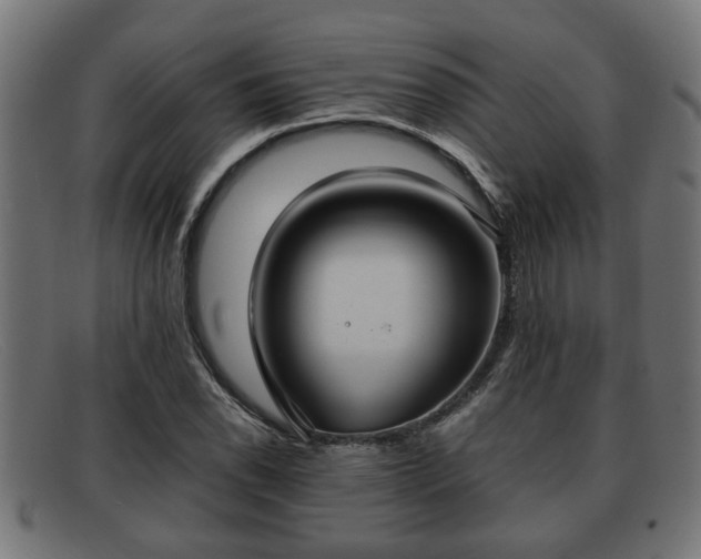 X0000091981118200709131407