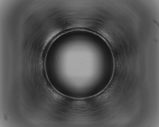 X0000091981119200709131407