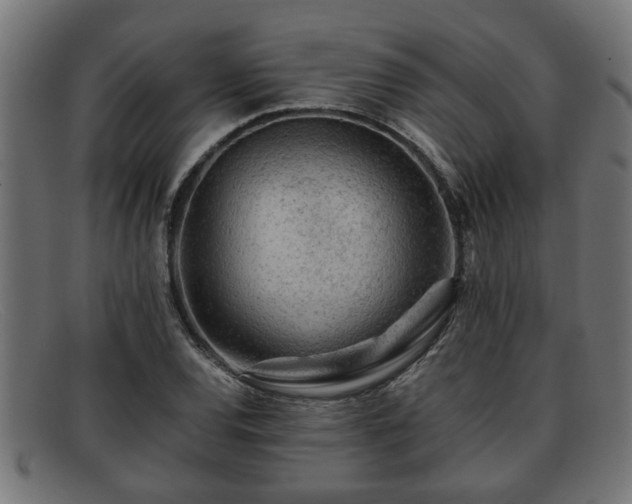 X0000091981120200709131407