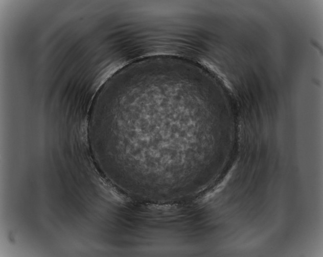 X0000091981121200709131407