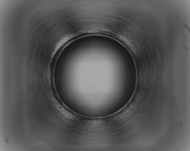 X0000091981122200709131407