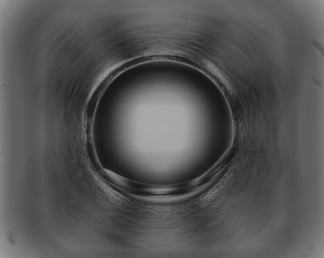 X0000091981124200709131407