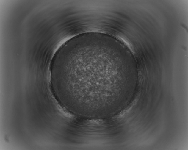 X0000091981125200709131407