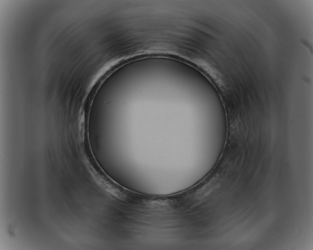 X0000091981126200709131407