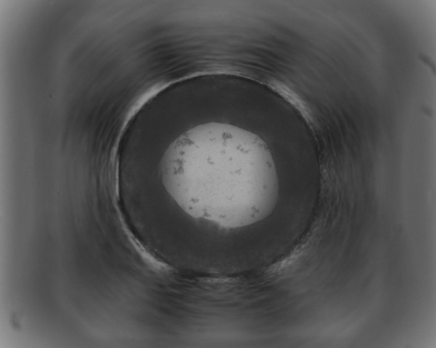 X0000091981127200709131407