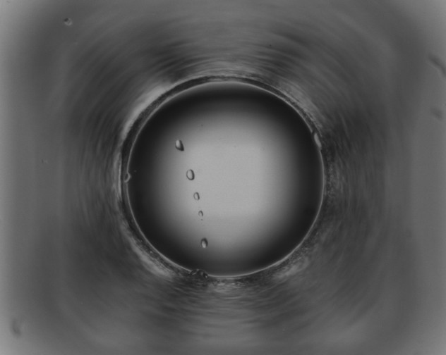 X0000091981128200709131407