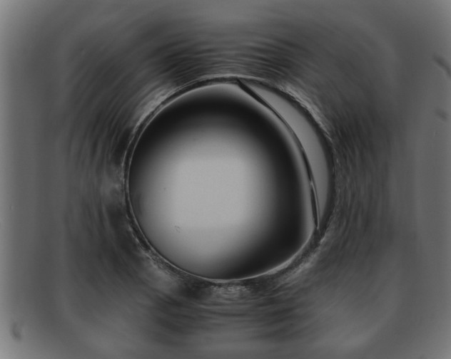 X0000091981129200709131407