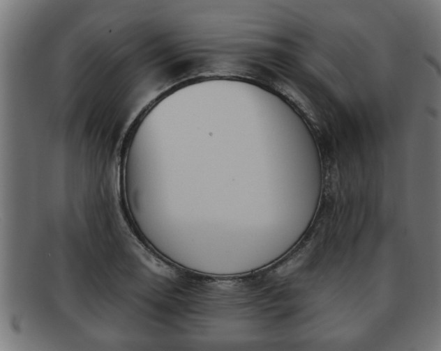 X0000091981130200709131407