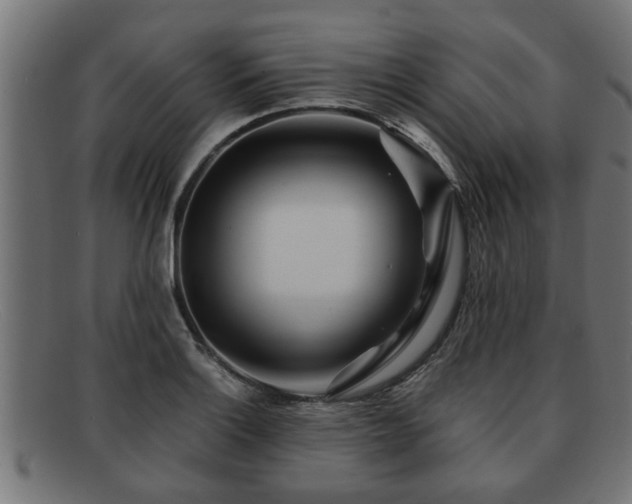 X0000091981132200709131407