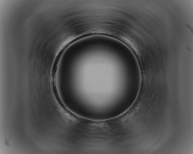 X0000091981133200709131407