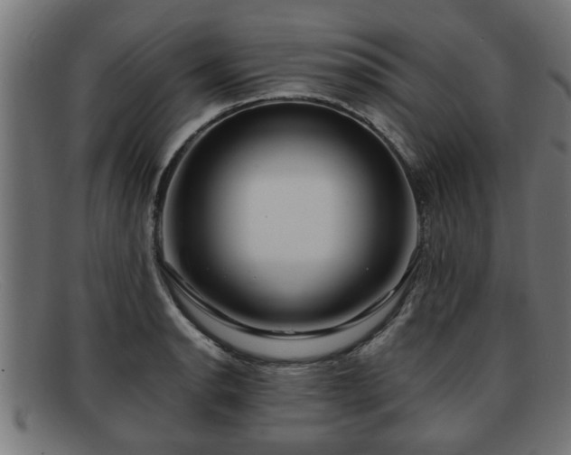 X0000091981134200709131407