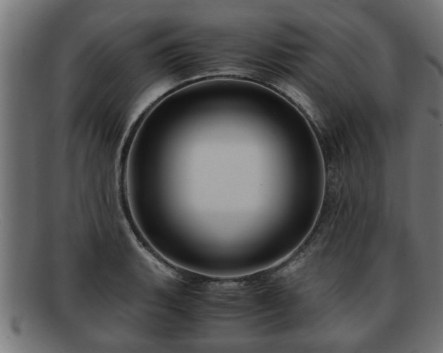 X0000091981135200709131407