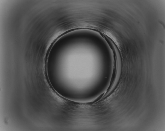 X0000091981136200709131407