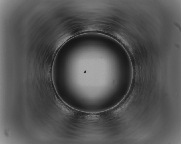 X0000091981137200709131407