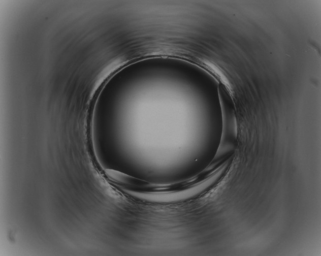 X0000091981138200709131407