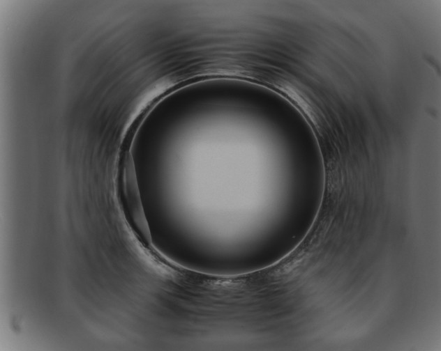 X0000091981139200709131407