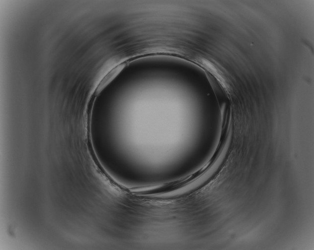 X0000091981140200709131407