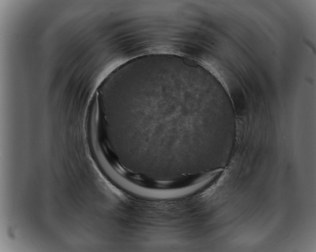 X0000091981141200709131407