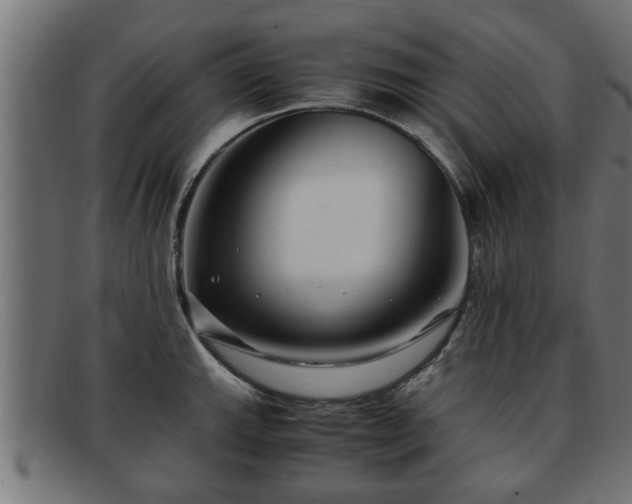 X0000091981143200709131407