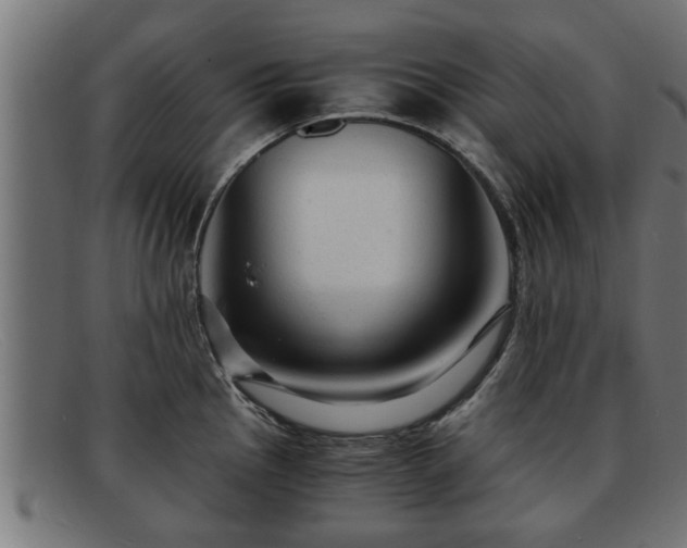 X0000091981145200709131407