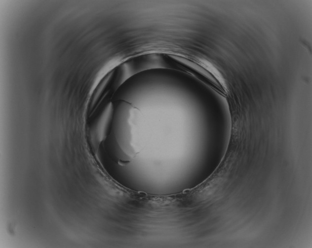 X0000091981146200709131407