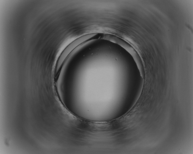 X0000091981152200709131407