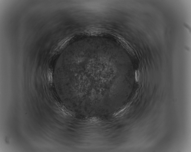 X0000091981155200709131407